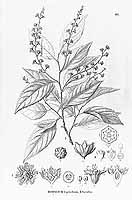  no thumbnail available