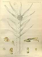  no thumbnail available