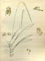  no thumbnail available