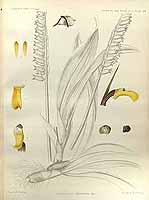  no thumbnail available