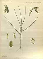  no thumbnail available