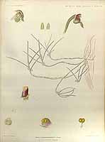  no thumbnail available