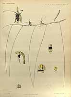  no thumbnail available