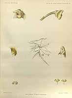  no thumbnail available