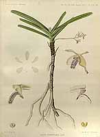  no thumbnail available