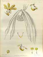  no thumbnail available