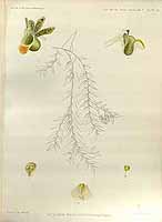  no thumbnail available