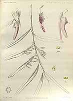  no thumbnail available