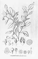  no thumbnail available