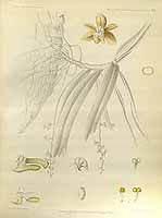  no thumbnail available