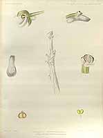  no thumbnail available