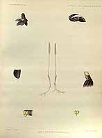  no thumbnail available