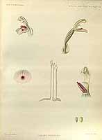  no thumbnail available