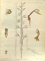  no thumbnail available