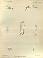  no thumbnail available