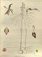  no thumbnail available