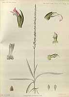  no thumbnail available