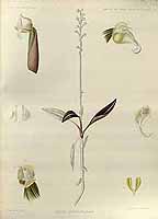  no thumbnail available