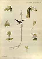  no thumbnail available