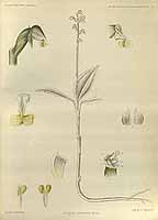  no thumbnail available