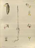  no thumbnail available