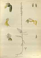  no thumbnail available