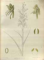  no thumbnail available