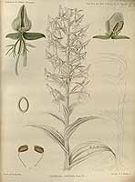  no thumbnail available