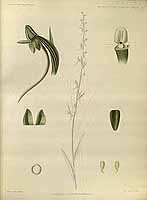  no thumbnail available