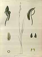  no thumbnail available