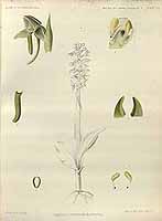  no thumbnail available