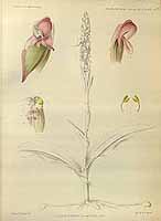  no thumbnail available