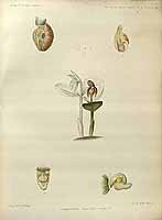  no thumbnail available