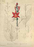  no thumbnail available