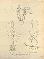  no thumbnail available