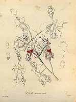  no thumbnail available