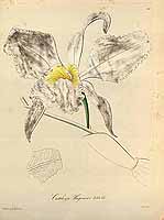  no thumbnail available