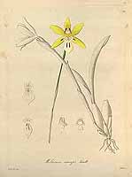  no thumbnail available