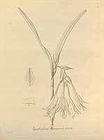  no thumbnail available