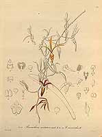  no thumbnail available