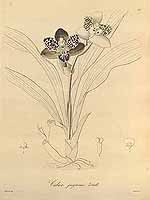  no thumbnail available