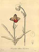  no thumbnail available