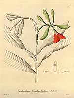  no thumbnail available