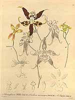  no thumbnail available