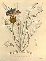  no thumbnail available