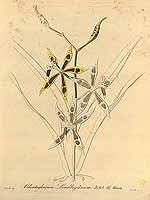  no thumbnail available