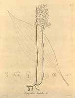  no thumbnail available