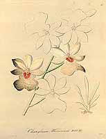  no thumbnail available