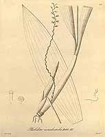  no thumbnail available