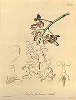  no thumbnail available